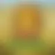 Zagraj Mega Moolah z Games Global w {"id":58,"name":"Betsson","design":{"logo":"betsson-logo-7XeTfX.svg","favicon":"betsson-favicon-D3PdRr.png","banner_poker":"betsson-poker-RaiGKf.webp","banner_mobile":"betsson-mobile-1TPH8b.webp","block_bg_color":"#1E1B4B","image_bg_color":"#2e1065","banner_bg_color":"#1e1b4b","block_text_color":"#ffffff","primary_bg_color":"#f8fafc","banner_text_color":"#fff","footer_logos_type":"black","block_round_radius":"0.125rem","primary_text_color":"#1e1b4b","button_round_radius":"0.25rem","banner_welcome_bonus":"betsson-welcome-bonus-8XVJIC.webp","primary_button_bg_color":"#84cc16","primary_button_text_color":"#fff","secondary_button_bg_color":"#ea580c","secondary_button_text_color":"#fff"},"created_at":"2025-05-14T09:25:22.000000Z","updated_at":"2025-05-14T09:25:22.000000Z","deleted_at":null}