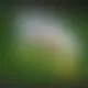 Zagraj Let It Ride z Playtech w {"id":58,"name":"Betsson","design":{"logo":"betsson-logo-7XeTfX.svg","favicon":"betsson-favicon-D3PdRr.png","banner_poker":"betsson-poker-RaiGKf.webp","banner_mobile":"betsson-mobile-1TPH8b.webp","block_bg_color":"#1E1B4B","image_bg_color":"#2e1065","banner_bg_color":"#1e1b4b","block_text_color":"#ffffff","primary_bg_color":"#f8fafc","banner_text_color":"#fff","footer_logos_type":"black","block_round_radius":"0.125rem","primary_text_color":"#1e1b4b","button_round_radius":"0.25rem","banner_welcome_bonus":"betsson-welcome-bonus-8XVJIC.webp","primary_button_bg_color":"#84cc16","primary_button_text_color":"#fff","secondary_button_bg_color":"#ea580c","secondary_button_text_color":"#fff"},"created_at":"2025-05-14T09:25:22.000000Z","updated_at":"2025-05-14T09:25:22.000000Z","deleted_at":null}